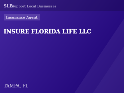 INSURE FLORIDA LIFE LLC — Insurance Agent in TAMPA, FL