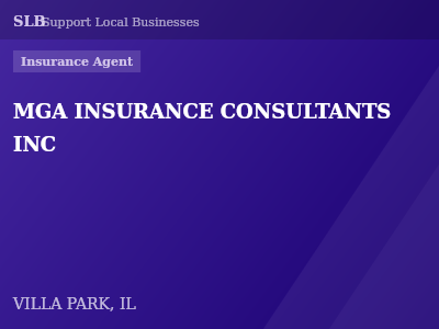 MGA INSURANCE CONSULTANTS INC — Insurance Agent in VILLA PARK, IL
