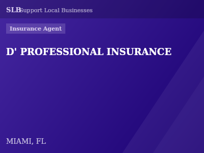 D' PROFESSIONAL INSURANCE — Insurance Agent in MIAMI, FL
