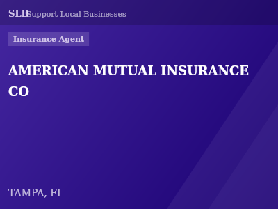 AMERICAN MUTUAL INSURANCE CO — Insurance Agent in TAMPA, FL