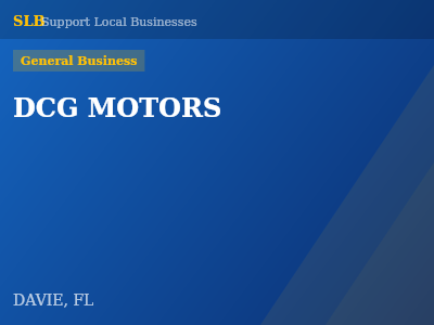 DCG MOTORS — General Business in DAVIE, FL