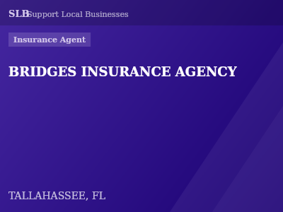 BRIDGES INSURANCE AGENCY — Insurance Agent in TALLAHASSEE, FL