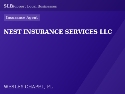 NEST INSURANCE SERVICES LLC — Insurance Agent in WESLEY CHAPEL, FL