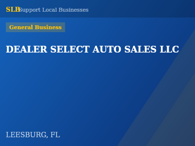 DEALER SELECT AUTO SALES LLC — General Business in LEESBURG, FL