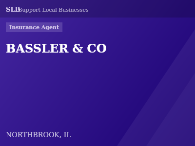 BASSLER & CO — Insurance Agent in NORTHBROOK, IL