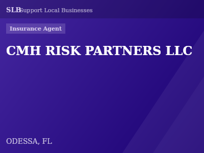 CMH RISK PARTNERS LLC — Insurance Agent in ODESSA, FL