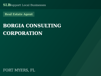 BORGIA CONSULTING CORPORATION — Real Estate Agent in FORT MYERS, FL