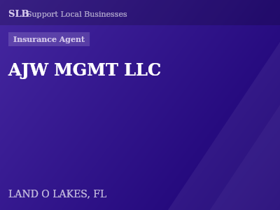 AJW MGMT LLC — Insurance Agent in LAND O LAKES, FL