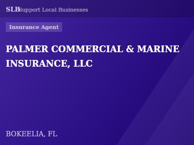 PALMER COMMERCIAL & MARINE INSURANCE, LLC — Insurance Agent in BOKEELIA, FL