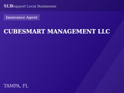 CUBESMART MANAGEMENT LLC — Insurance Agent in TAMPA, FL