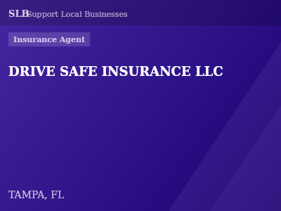 DRIVE SAFE INSURANCE LLC — Insurance Agent in TAMPA, FL