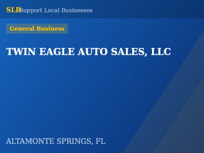 TWIN EAGLE AUTO SALES, LLC — General Business in ALTAMONTE SPRINGS, FL