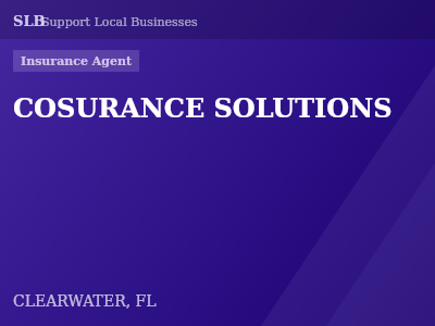 COSURANCE SOLUTIONS — Insurance Agent in CLEARWATER, FL