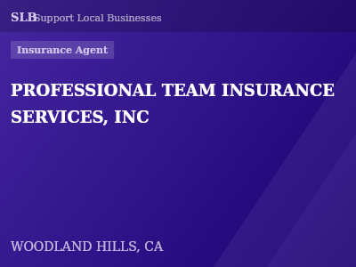 PROFESSIONAL TEAM INSURANCE SERVICES, INC — Insurance Agent in WOODLAND HILLS, CA