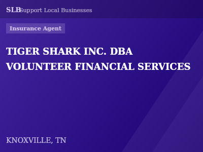 TIGER SHARK INC. DBA VOLUNTEER FINANCIAL SERVICES — Insurance Agent in KNOXVILLE, TN
