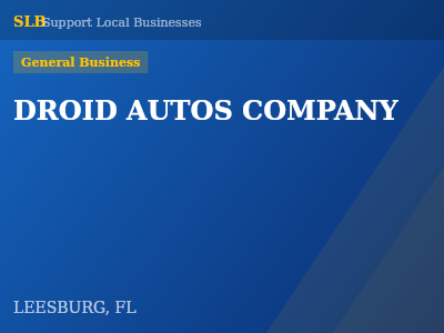 DROID AUTOS COMPANY — General Business in LEESBURG, FL