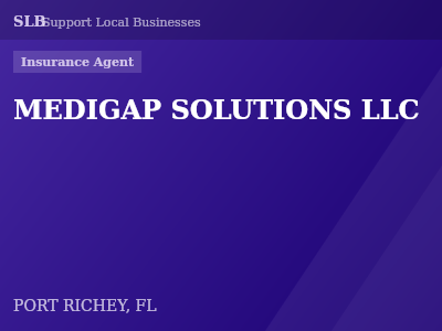 MEDIGAP SOLUTIONS LLC — Insurance Agent in PORT RICHEY, FL