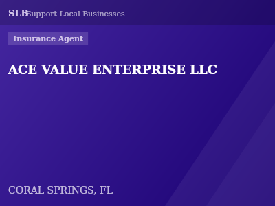 ACE VALUE ENTERPRISE LLC — Insurance Agent in CORAL SPRINGS, FL
