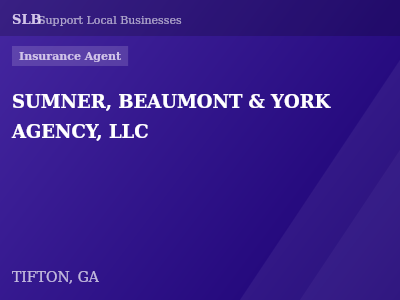 SUMNER, BEAUMONT & YORK AGENCY, LLC — Insurance Agent in TIFTON, GA