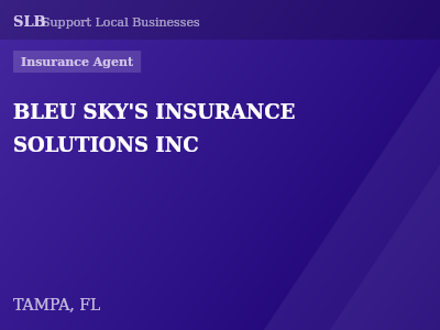 BLEU SKY'S INSURANCE SOLUTIONS INC — Insurance Agent in TAMPA, FL