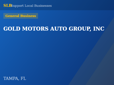 GOLD MOTORS AUTO GROUP, INC — General Business in TAMPA, FL