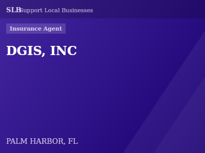 DGIS, INC — Insurance Agent in PALM HARBOR, FL