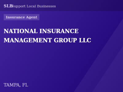 NATIONAL INSURANCE MANAGEMENT GROUP LLC — Insurance Agent in TAMPA, FL