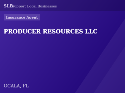PRODUCER RESOURCES LLC — Insurance Agent in OCALA, FL