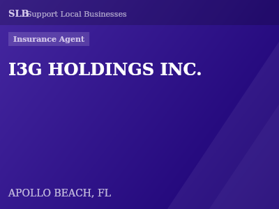 I3G HOLDINGS INC. — Insurance Agent in APOLLO BEACH, FL