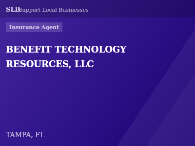 BENEFIT TECHNOLOGY RESOURCES, LLC — Insurance Agent in TAMPA, FL