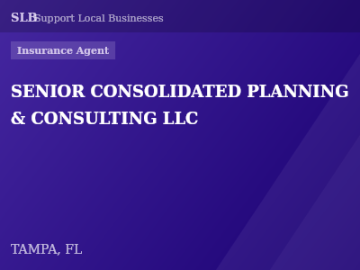 SENIOR CONSOLIDATED PLANNING & CONSULTING LLC — Insurance Agent in TAMPA, FL