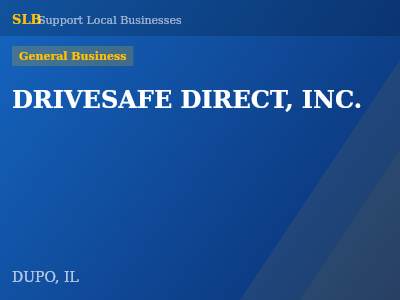 DRIVESAFE DIRECT, INC. — General Business in DUPO, IL