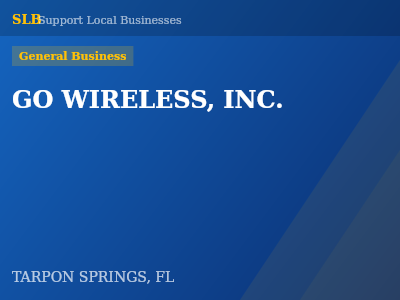 GO WIRELESS, INC. — General Business in TARPON SPRINGS, FL