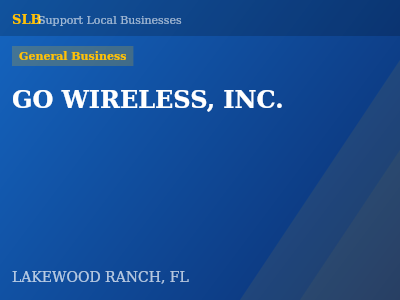 GO WIRELESS, INC. — General Business in LAKEWOOD RANCH, FL
