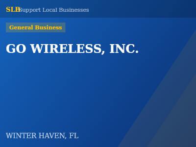 GO WIRELESS, INC. — General Business in WINTER HAVEN, FL