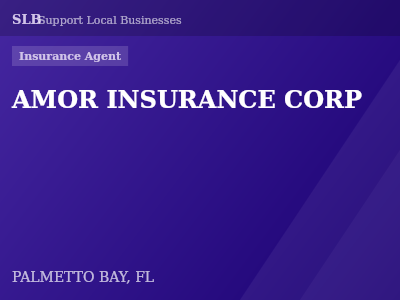 AMOR INSURANCE CORP — Insurance Agent in PALMETTO BAY, FL