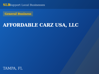 AFFORDABLE CARZ USA, LLC — General Business in TAMPA, FL
