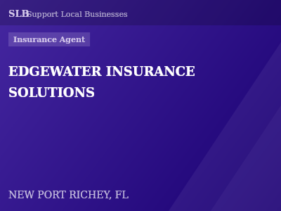 EDGEWATER INSURANCE SOLUTIONS — Insurance Agent in NEW PORT RICHEY, FL