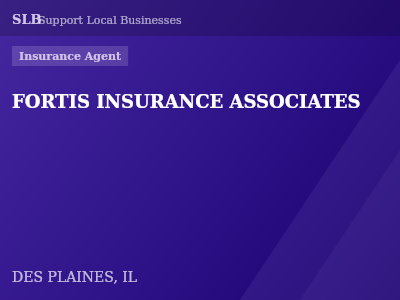 FORTIS INSURANCE ASSOCIATES — Insurance Agent in DES PLAINES, IL