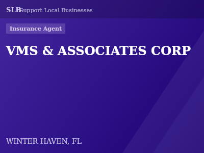 VMS & ASSOCIATES CORP — Insurance Agent in WINTER HAVEN, FL