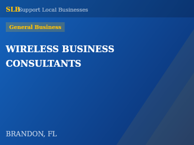 WIRELESS BUSINESS CONSULTANTS — General Business in BRANDON, FL