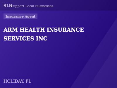 ARM HEALTH INSURANCE SERVICES INC — Insurance Agent in HOLIDAY, FL