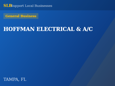 HOFFMAN ELECTRICAL & A/C — General Business in TAMPA, FL