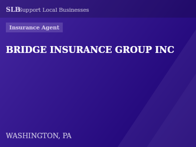 BRIDGE INSURANCE GROUP INC — Insurance Agent in WASHINGTON, PA