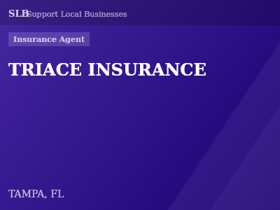 TRIACE INSURANCE — Insurance Agent in TAMPA, FL
