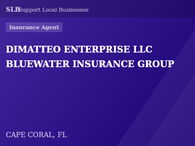 DIMATTEO ENTERPRISE LLC BLUEWATER INSURANCE GROUP — Insurance Agent in CAPE CORAL, FL