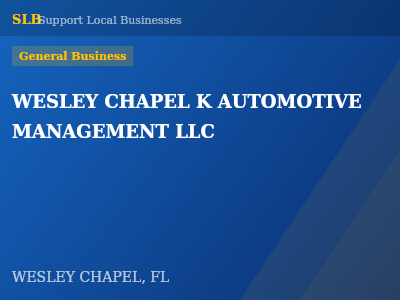 WESLEY CHAPEL K AUTOMOTIVE MANAGEMENT LLC — General Business in WESLEY CHAPEL, FL