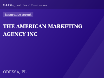 THE AMERICAN MARKETING AGENCY INC — Insurance Agent in ODESSA, FL