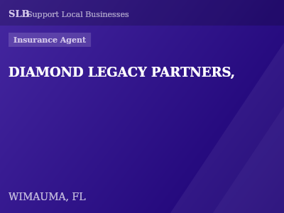 DIAMOND LEGACY PARTNERS, — Insurance Agent in WIMAUMA, FL