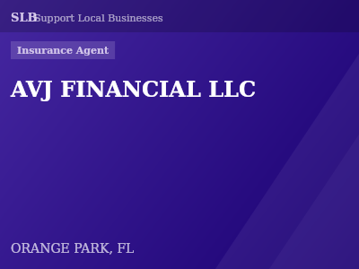 AVJ FINANCIAL LLC — Insurance Agent in ORANGE PARK, FL